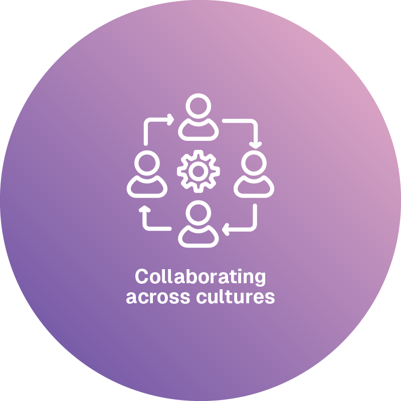 Collaborating across cultures